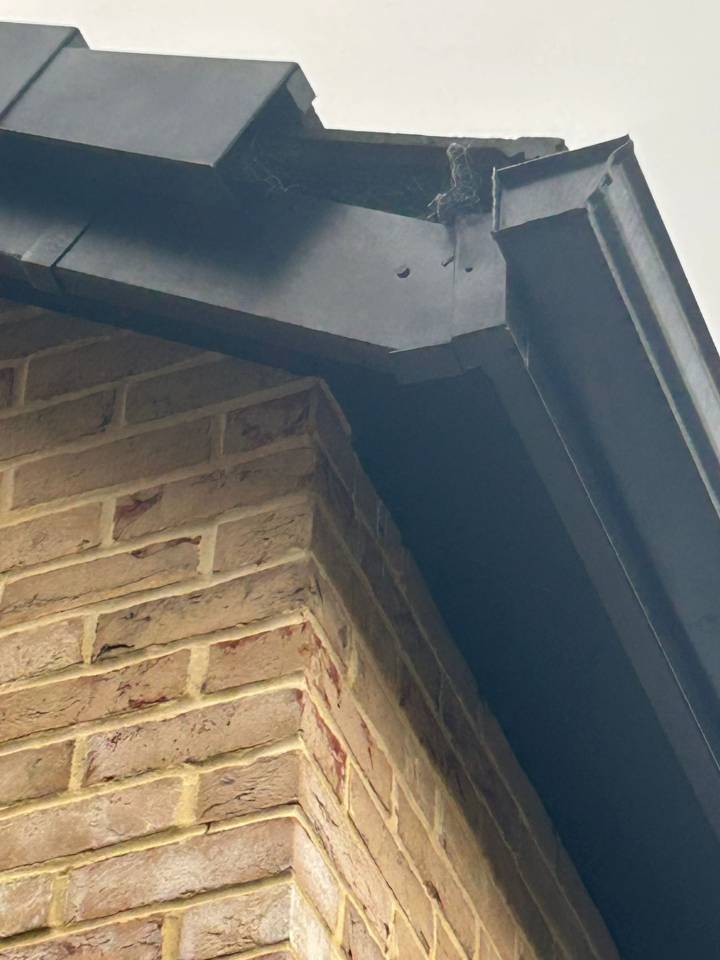 472388206 458012344026086 1142801050655090309 n